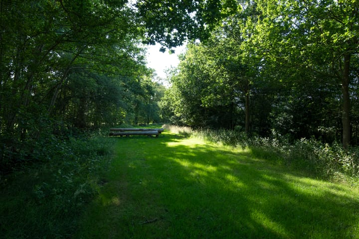 Foto 49 van Vurenboomweg 2