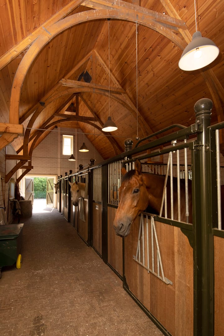 Foto 60 van Vurenboomweg 2