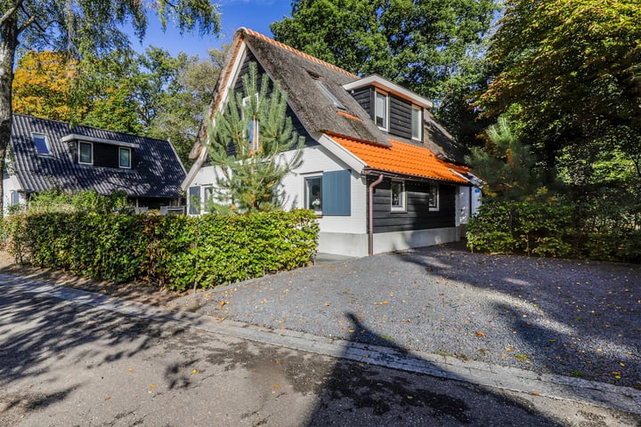 Koningsweg 14 4