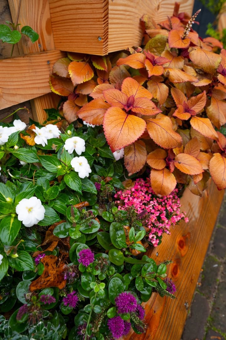 Foto 38 van Vismarkt 7-7A