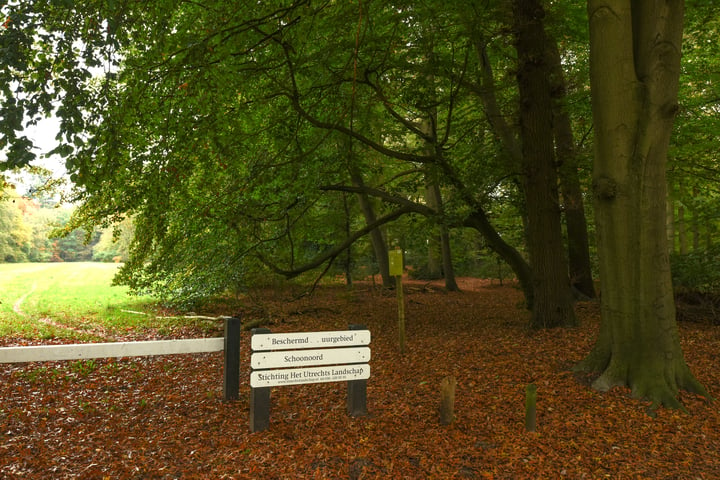 Bekijk foto 31 van Blikkenburgerlaan 11