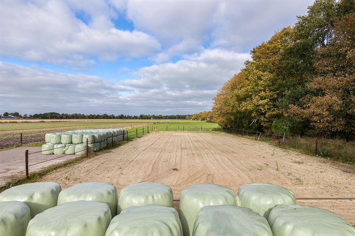 Bekijk foto 48 van Hoofdweg 125