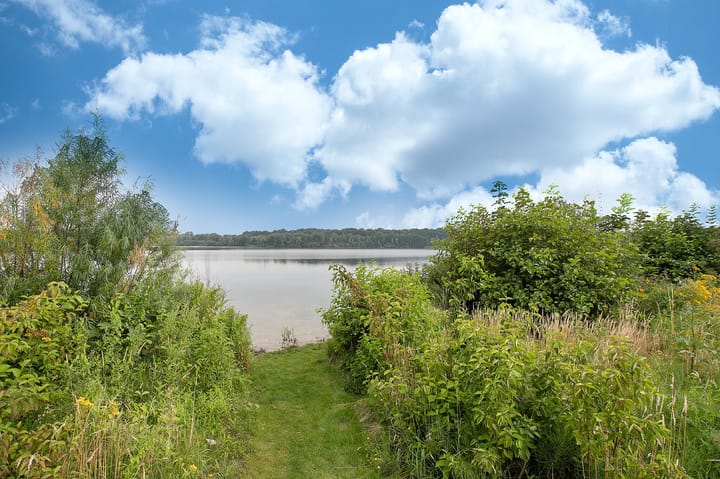 Foto 11 van Schutteheide 1-E