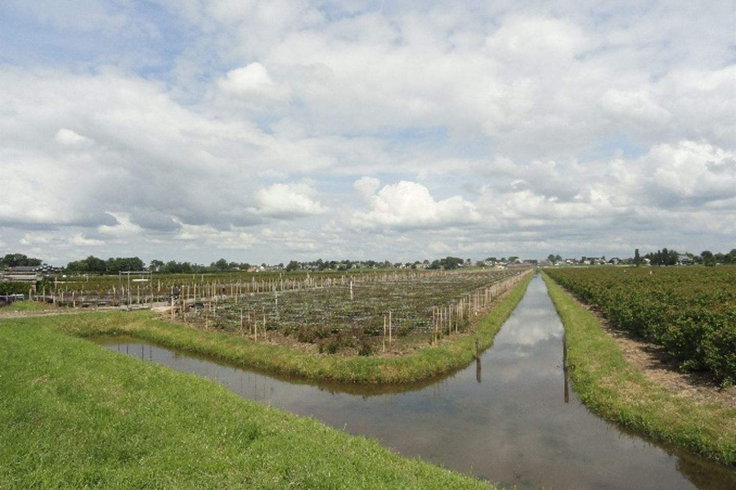 Bekijk foto 1 van Veldweg 4-nab