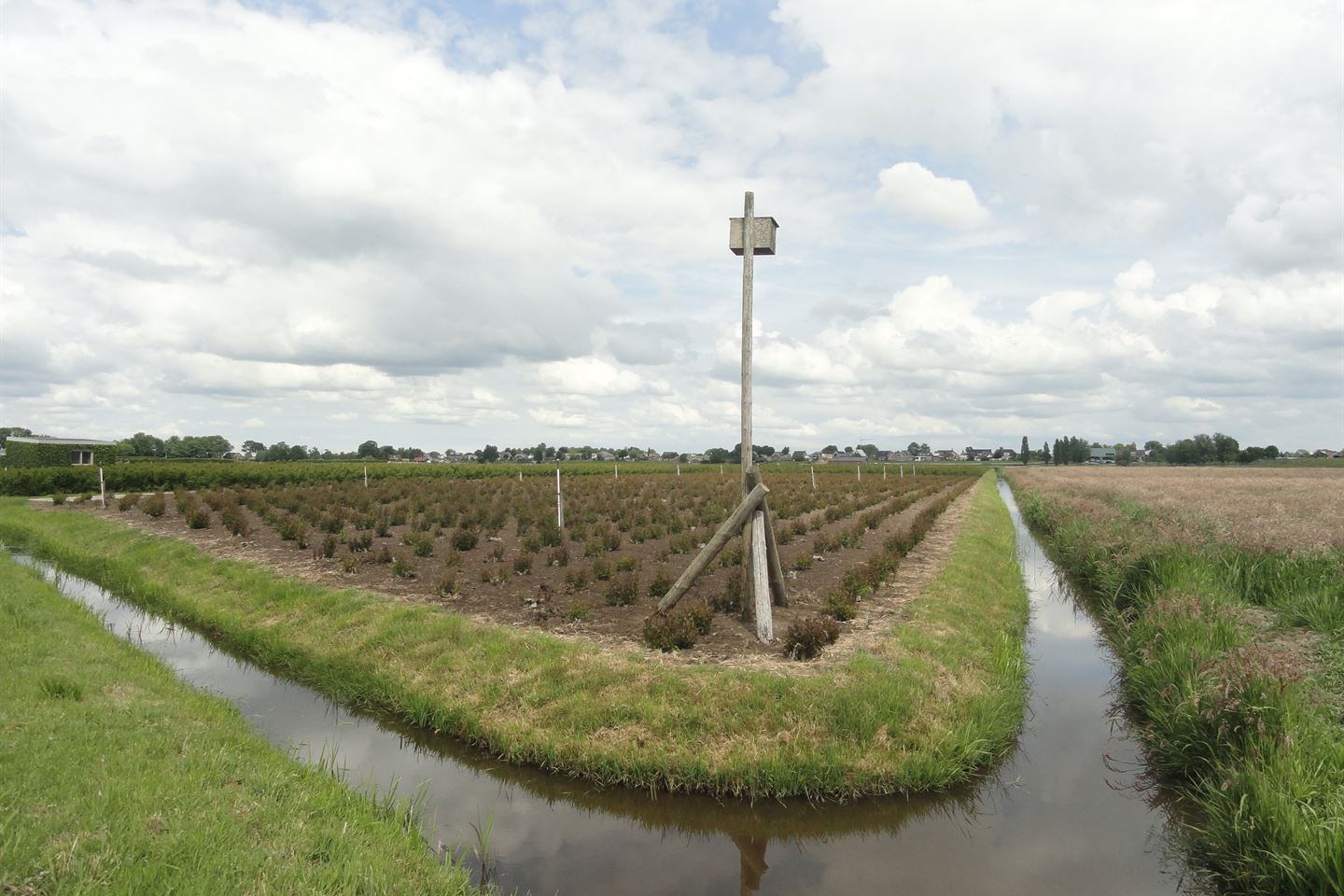 Bekijk foto 2 van Veldweg 4-nab