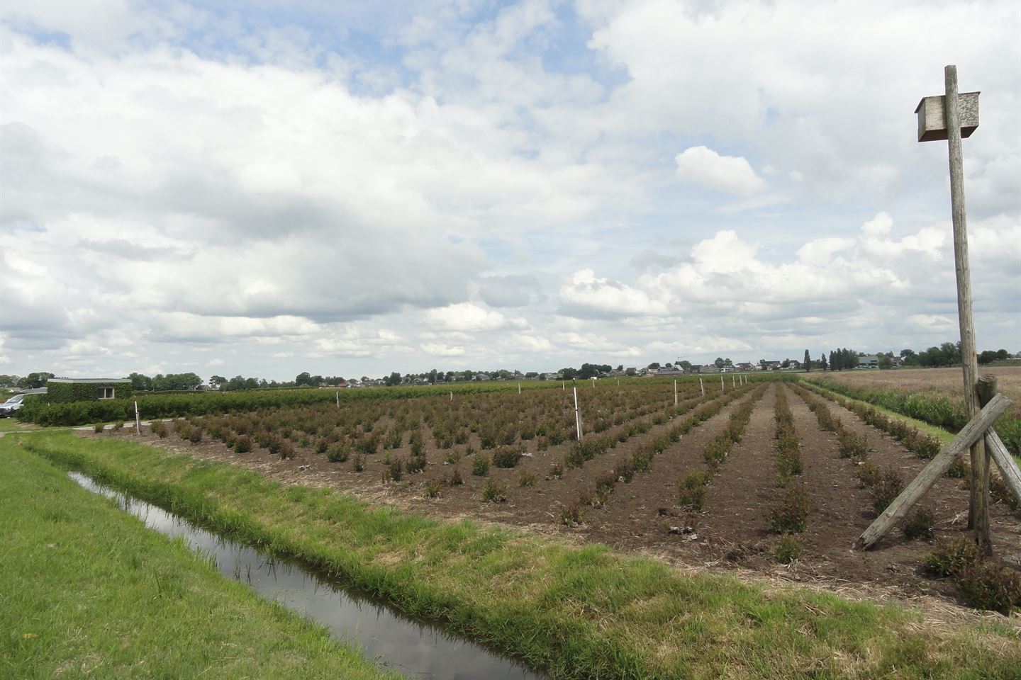 Bekijk foto 3 van Veldweg 4-nab