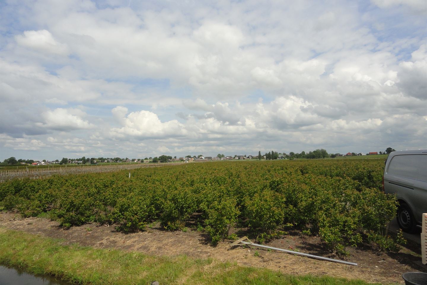 Bekijk foto 4 van Veldweg 4-nab