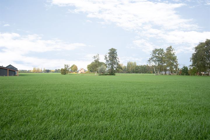 Bekijk foto 30 van Drostendijk