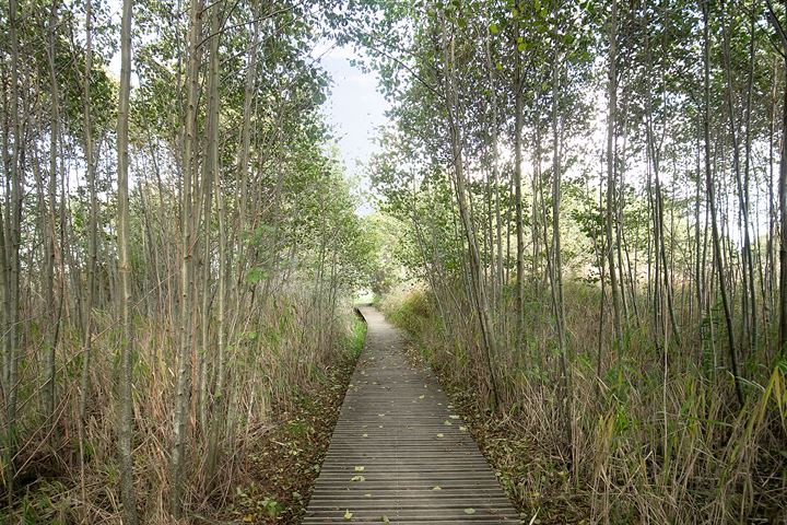 Bekijk foto 41 van Drostendijk