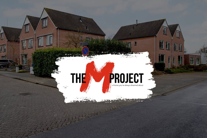 The M project