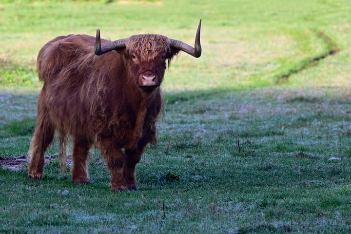 Foto 4 van Eemnesserweg 97