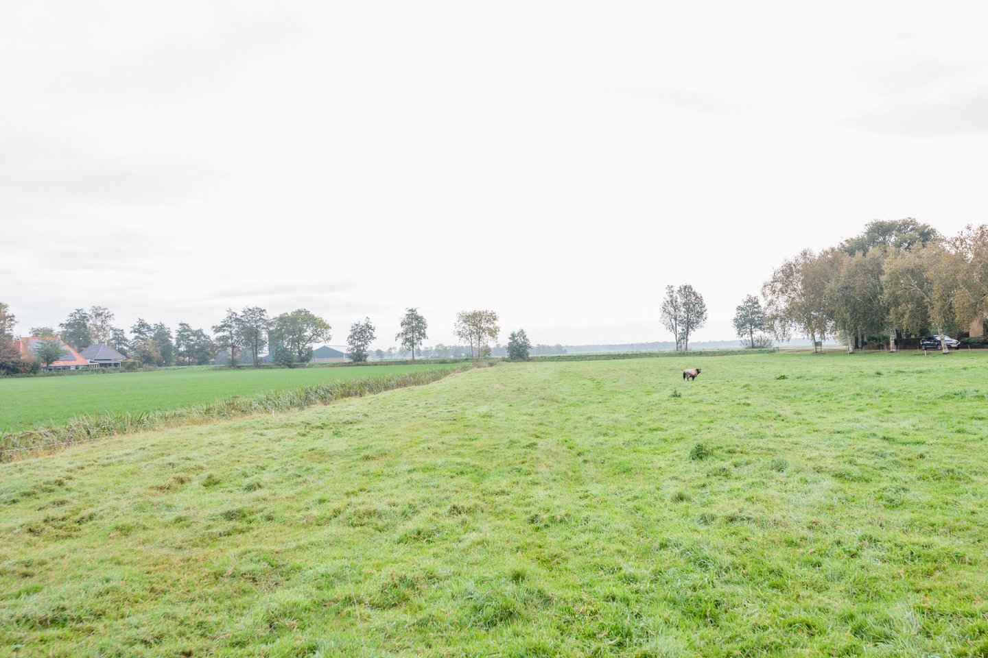 Bekijk foto 2 van Hoofdweg 36