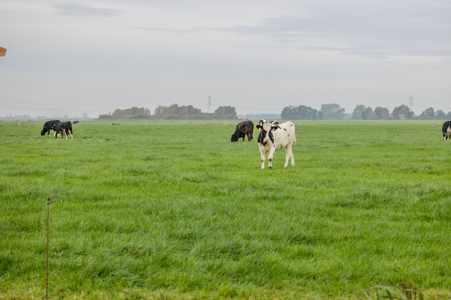 Bekijk foto 5 van Hoofdweg 36