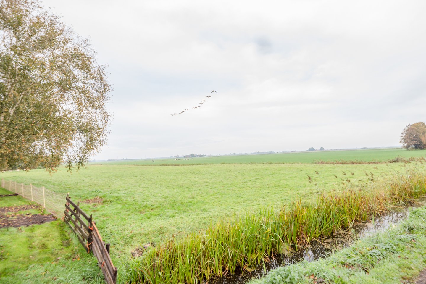 Bekijk foto 1 van Hoofdweg 36