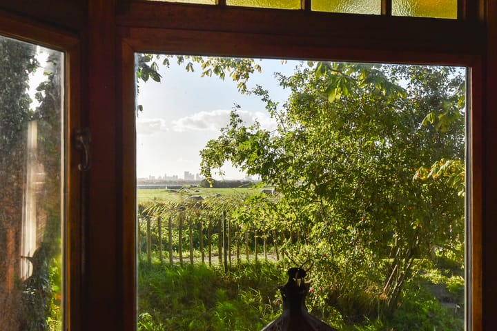 Foto 12 van Zwetkade 8