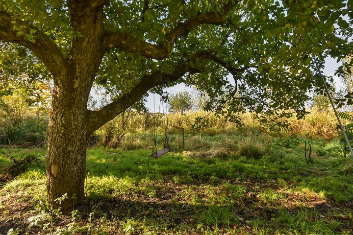 Bekijk foto 49 van Zwetkade 8