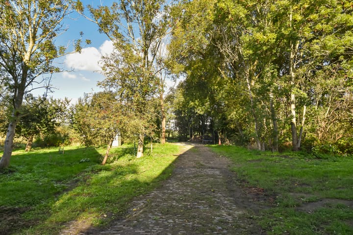 Foto 45 van Zwetkade 8