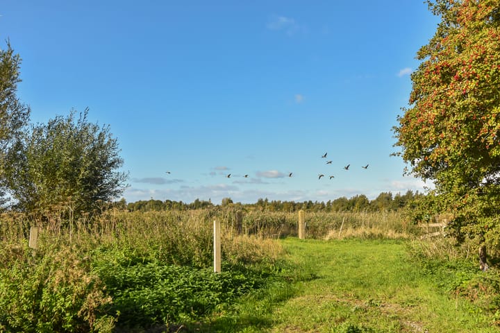 Foto 46 van Zwetkade 8