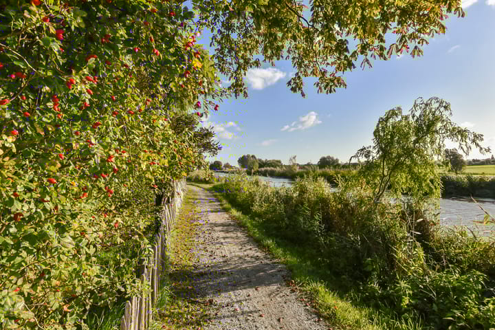 Foto 52 van Zwetkade 8