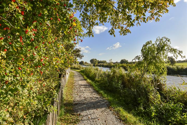 Bekijk foto 52 van Zwetkade 8