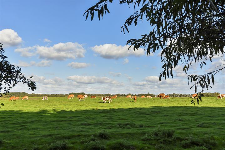 Bekijk foto 66 van Zwetkade 8