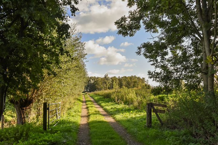 Bekijk foto 68 van Zwetkade 8