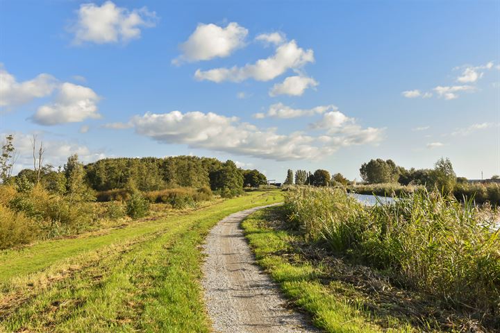 Bekijk foto 55 van Zwetkade 8