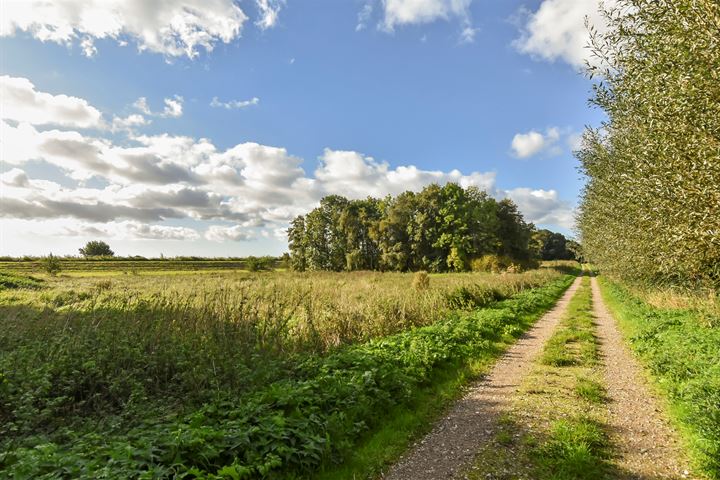 Bekijk foto 70 van Zwetkade 8