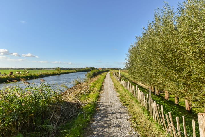 Foto 53 van Zwetkade 8