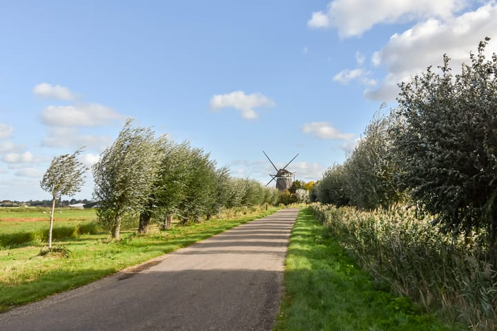 Foto 73 van Zwetkade 8