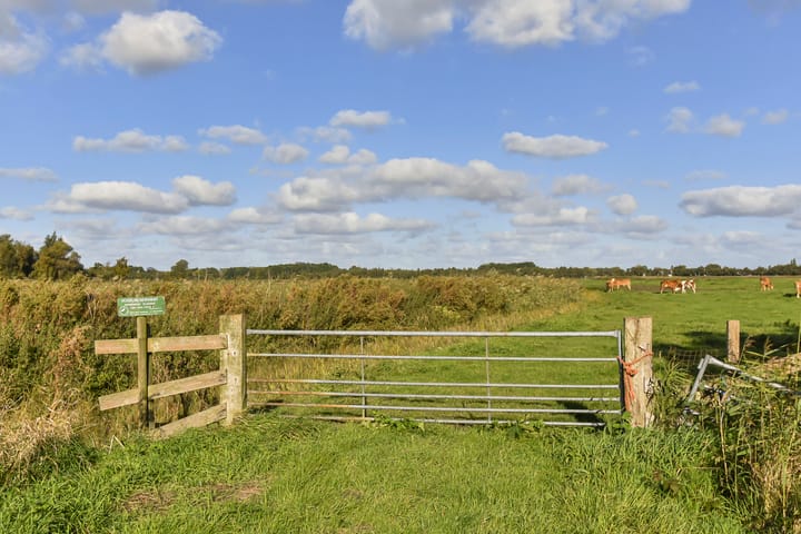 Foto 69 van Zwetkade 8