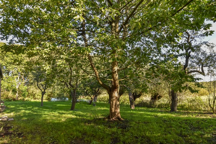 Foto 64 van Zwetkade 8