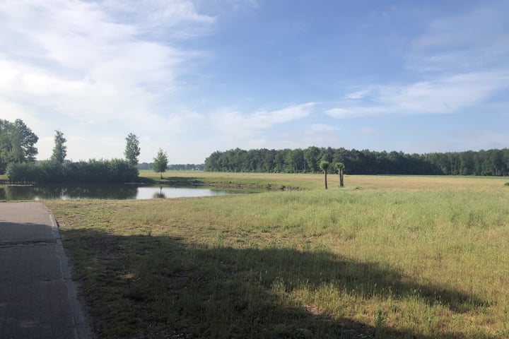 Elfde Wijk 42 C, Rheezerveen
