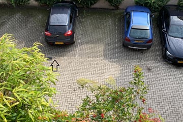 Bekijk foto's