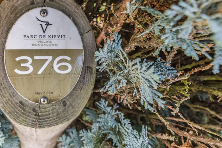 Photo 25 of Kievit 12-B376