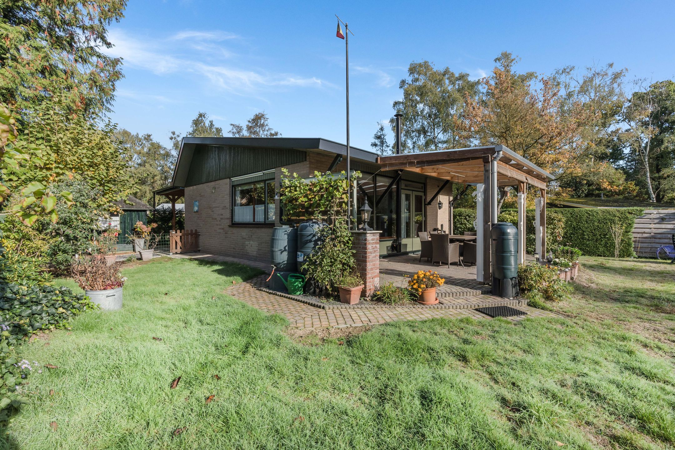 Foto 21 van Kievit 12-B376