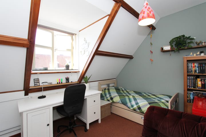 Photo 29 of Frieselaan 3