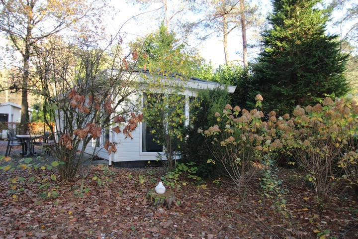Hoge Bergweg 16 141