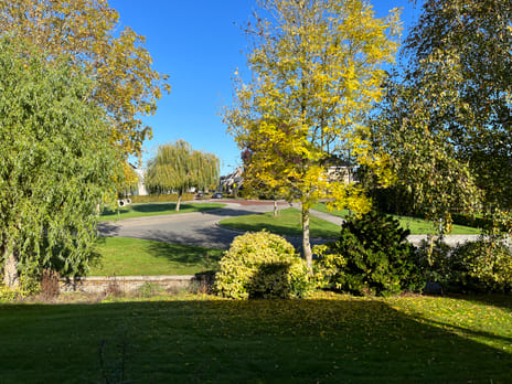 undefined main image