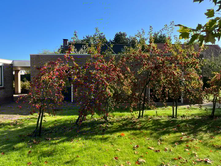 Foto 22 van Steeweg 36