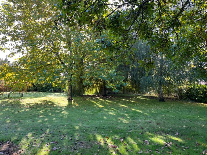 Foto 21 van Steeweg 36