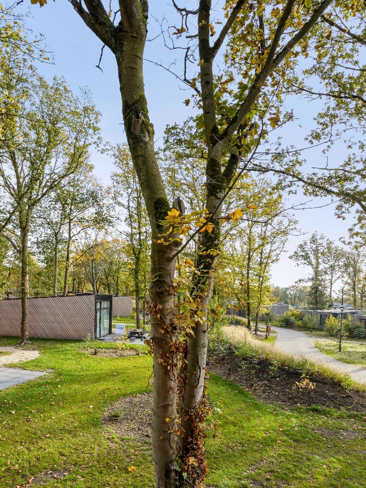 Bekijk foto 4 van Hermanusweg 4 102