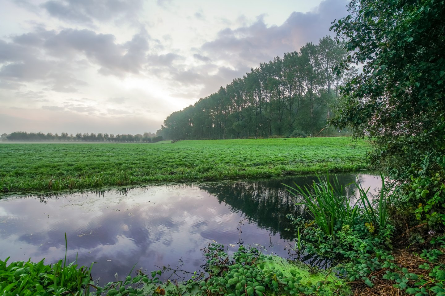Bekijk foto 5 van A1SP (Bouwnr. 22)
