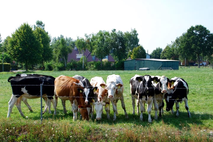 Photo 4 of Albert Schweitzerlaan 41