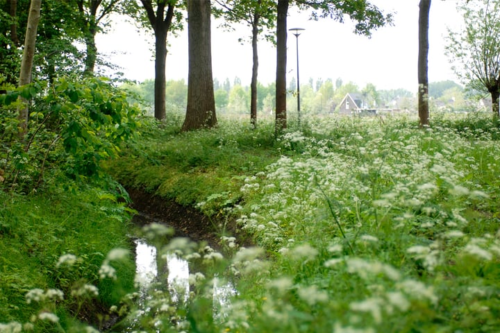 Foto 7 van De Scheifelaar 552-KAVEL 6