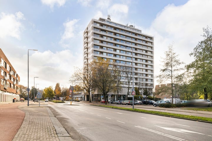 Adriaen van der Doeslaan 251