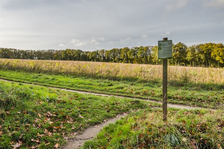 Bekijk foto 26 van Reumersweg 4