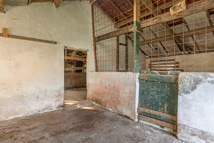 Foto 43 van Koestraat 3