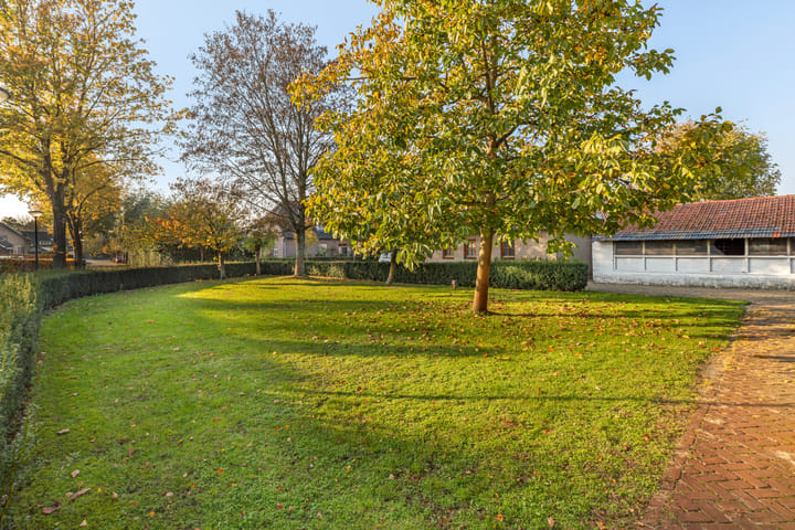 Foto 48 van Koestraat 3