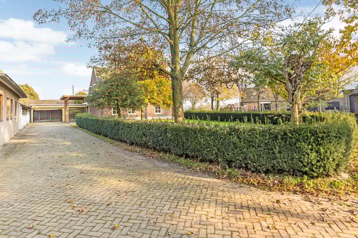 Foto 62 van Koestraat 3